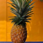 Pineaple